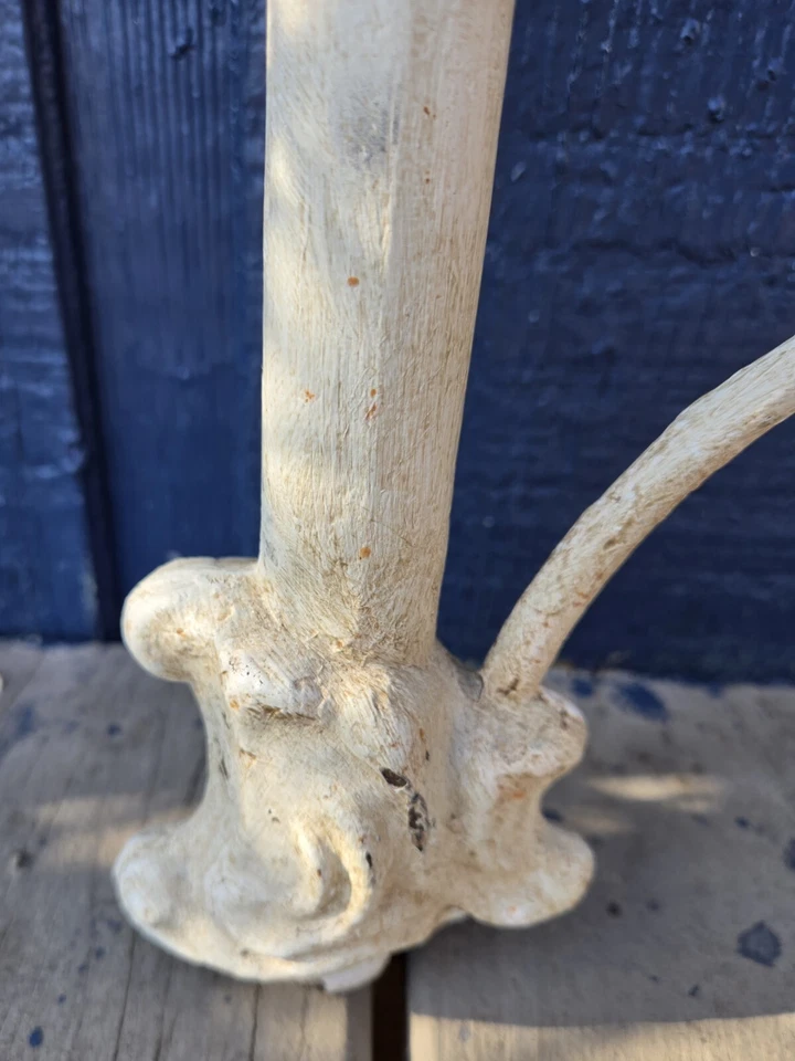 Cabecero y pie de cama de hierro antiguo rústico tamaño completo estilo granja victoriano Foto 4 de 4