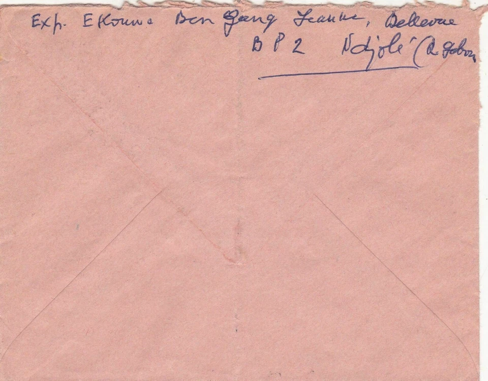 French Colonies Air Mail NDJOLE 1969 Cancels Tree Scenes Stamps Cover Rf 44719 - Image 2 of 2