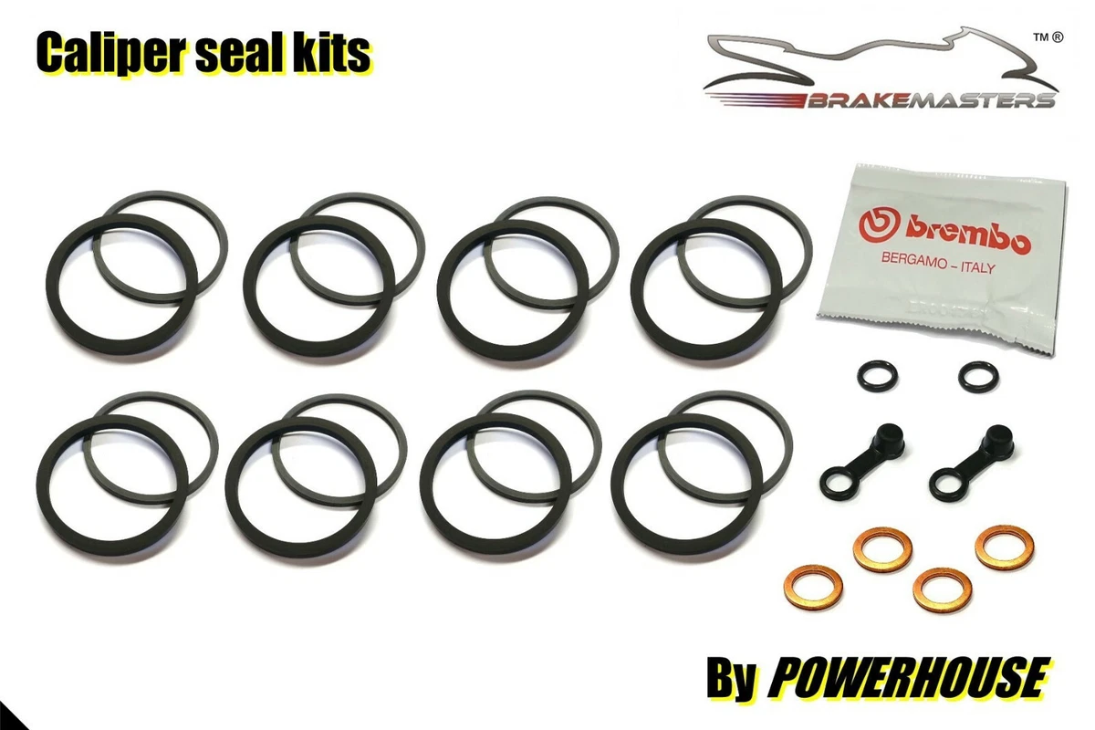 Ducati Streetfighter 848 front brake caliper seal repair rebuild 
