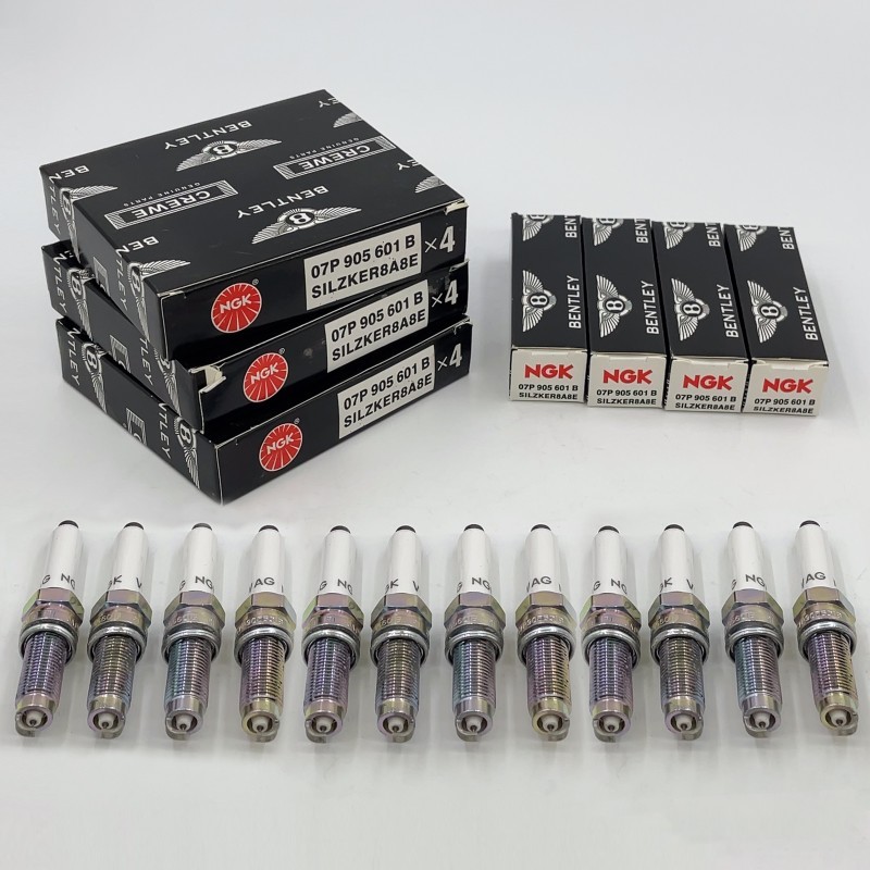 12X OEM Spark Plugs Fitting Bentley W12 6.0T 07P905601 A B W12