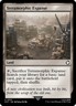 Terramorphic Expanse PIP 313 MTG Universes Beyond: Fallout Common Normal EN NM