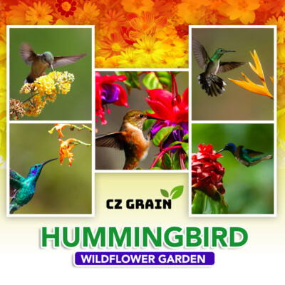 #ad Hummingbird Wildflower Seed Kit Grow a Garden for Hummingbirds $10.99