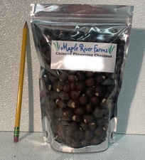 Shiny Leaf Yellowhorn Xanthoxeras Sofbifolium 300 Seed Pack