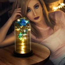 Eternal Rose in The Glass Dome Everlasting Rose Flower Xmas Gifts with Led Light