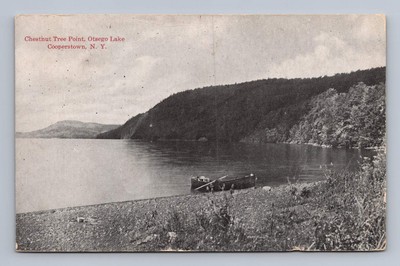 Middlefield New York COOPERSTOWN Otsego Lake Chestnut Tree 1914