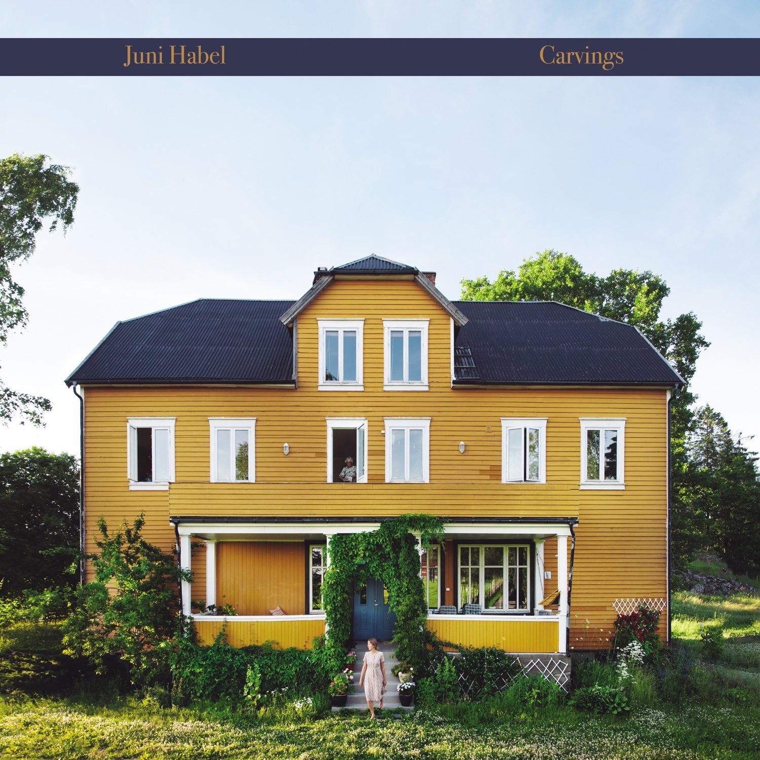 Альбом Juni Habel Carvings (CD)