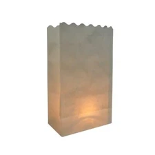 Quasimoon White Paper Luminaries / Luminary Lantern Bags Path Lighting (10 PA...