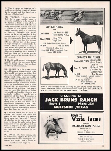 1959 Jack Bruns Ranch Muleshoe Texas Horse Photos Leo Bob Chicaro's Ace Print Ad