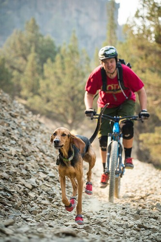 Ruffwear Grip Trex Dog Boots - Pair of Two Boots — WW - Picture 7 of 10