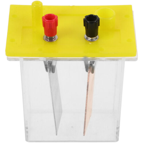 Salt Box Science Experiment Kit Experimental DIY Fruit