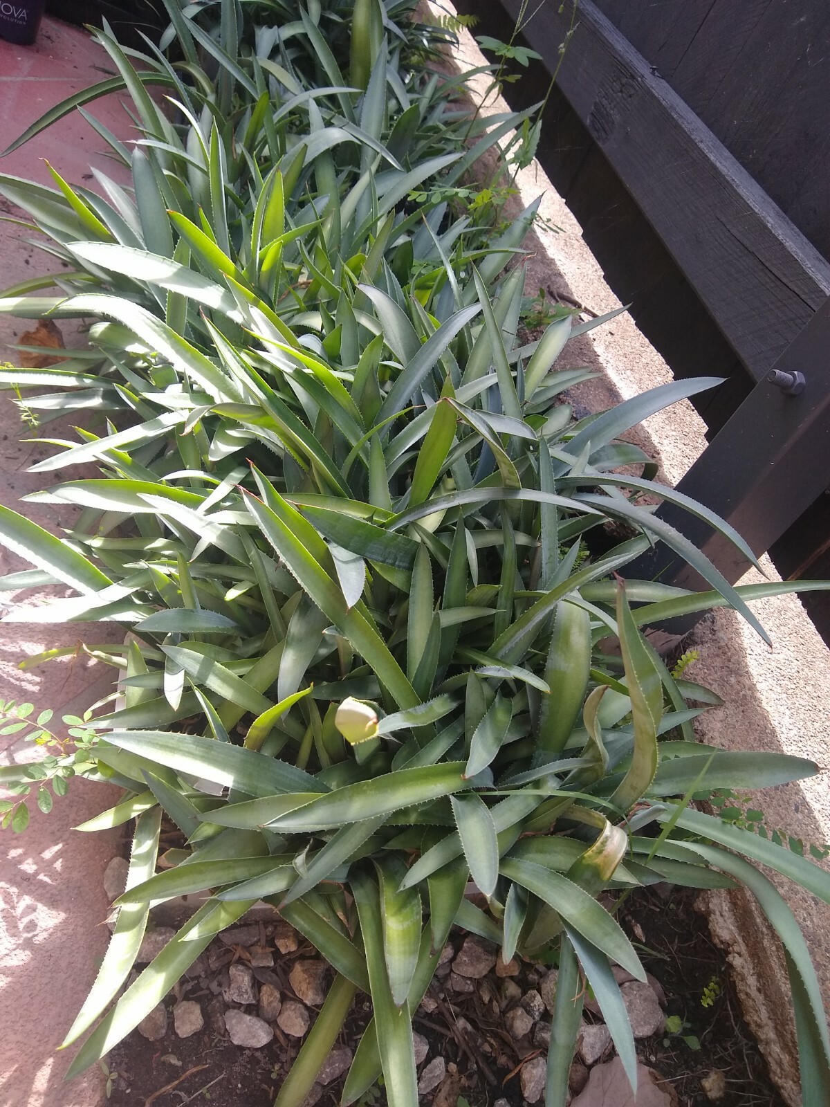 Picture 9 of 17