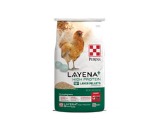 Purina Layena High Protein Layer Chicken Feed, 40 Pound Bag