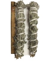 12  -13" Long Wild California White Sage Smudge Stick Pack of 2 Free Shipping