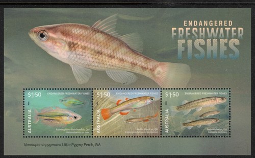 AUSTRALIA, 2025 FRESHWATER FISH MINISHEET MNH