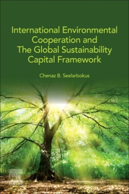 International Environmental Cooperation And The Global Sustainability Capit...