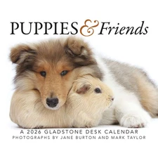 Carousel Calendars,  Puppies and Friends 2026 Desk Calendar by Gladstone Media,