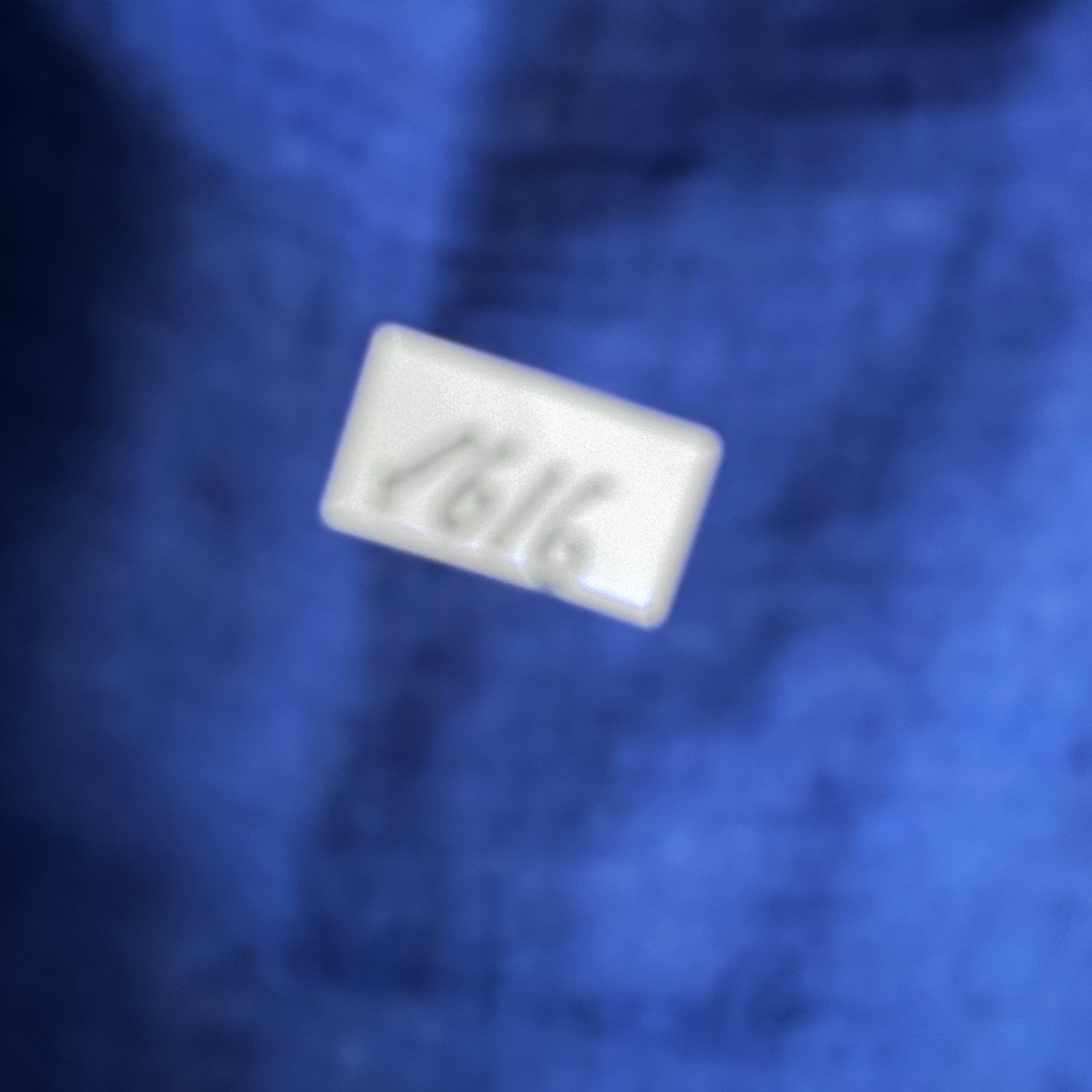 Royal Blue Sheer Lightweight Scarf / Sarong image 6