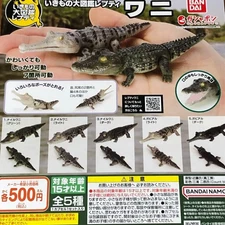 Ikimono Encyclopedia crocodile set of 5 gashapon gacha