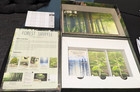 Lookout Games: Forest Shuffle - Board Game - Great Condition — photo 3