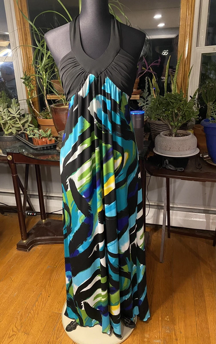 Iz byer store maxi dress
