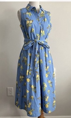 J Jason Wu Shirt Dress Women Blue Lemon Print Cotton Sleeveless Medium (618)