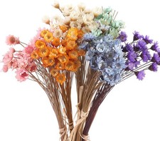 300PCS Dried Flowers Brazilian Small Star Daisy, 15" Decorative Natural Pink