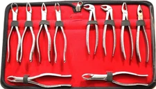 Dental Forceps 10 PCS Set  for Adult Tooth Forceps Tools Dental Instrument Set