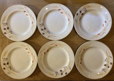 RARE Staffordshire Churchill BRAMBLE FAYRE Harvest 8” 21cm Dessert Plates x 6