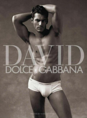 david gandy dolce