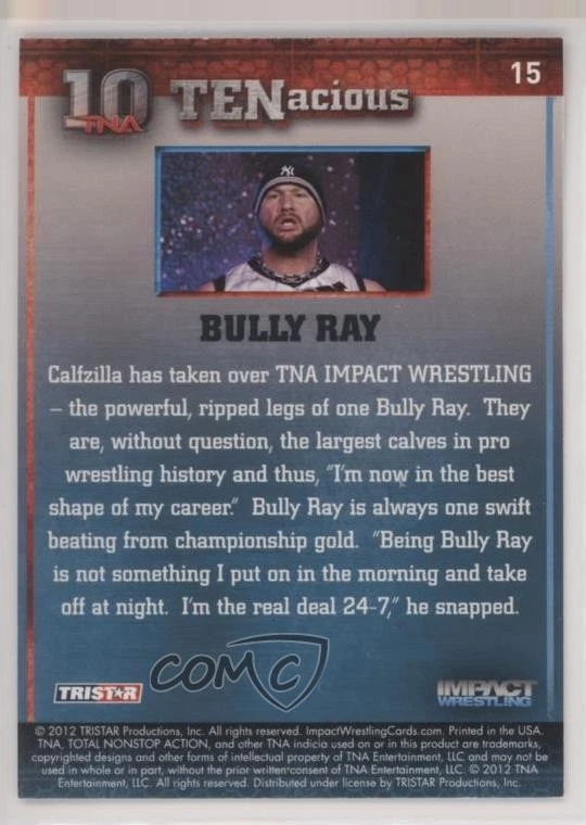 2012 TRISTAR TNA TENacious Bully Ray #15 - Image 2 of 2