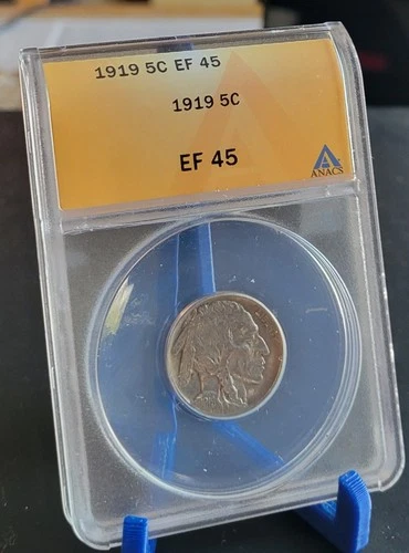 1919  Buffalo Nickel EF45 ANACS