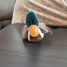 Ty Jake the Mallard Duck Plush Toy