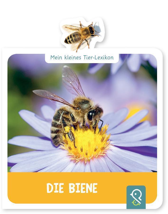 Thumbnail - Mein Kleines Tier-lexikon - Die Biene | Hannah Kastenhuber | Deutsch |