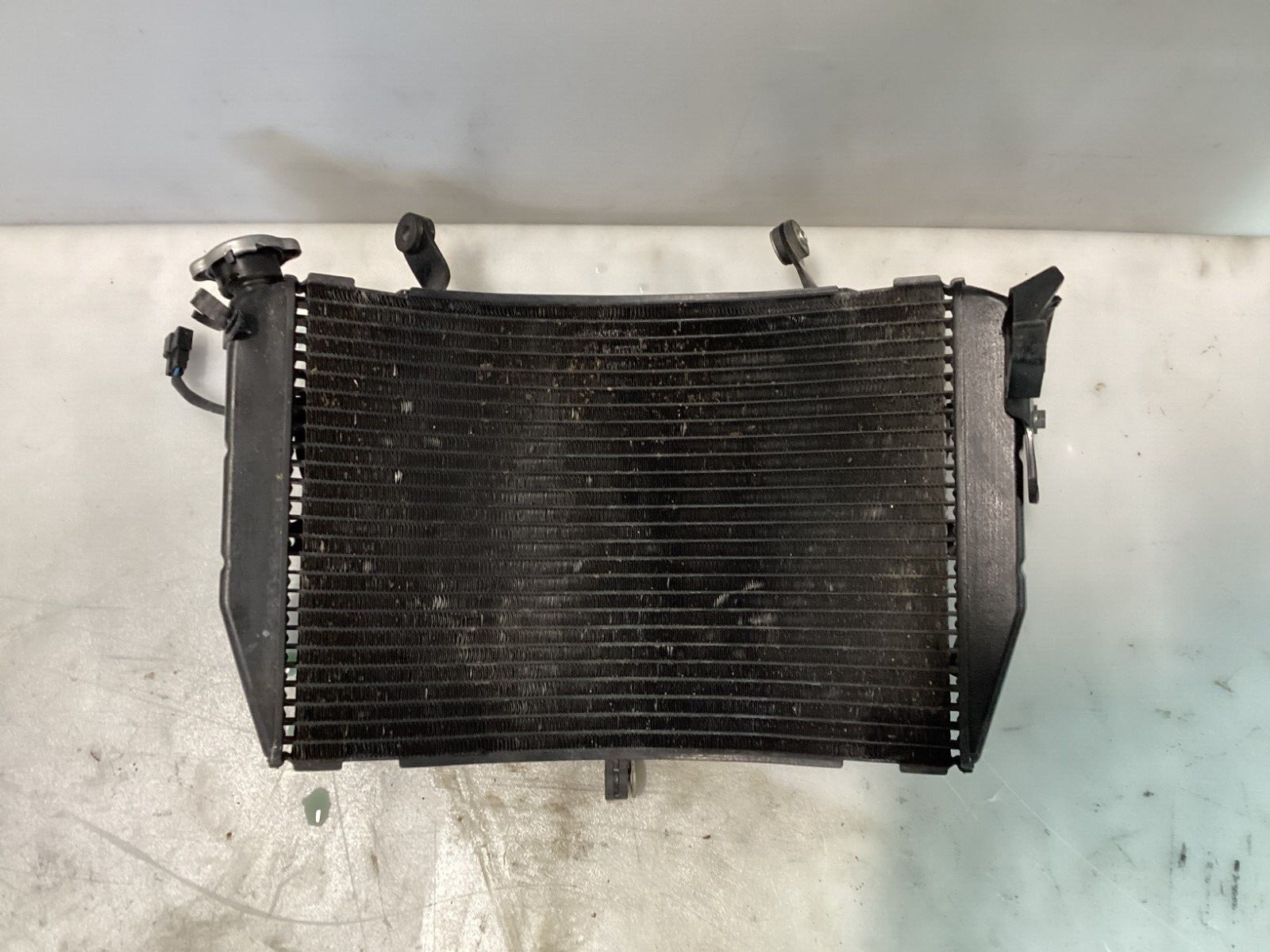 04-06 YAMAHA YZF R1 Complete OEM Radiator with left right Cooling Fans ...