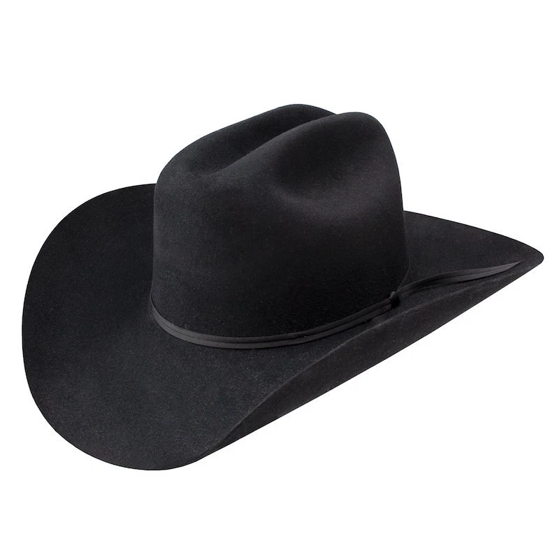 Stetson 3x store