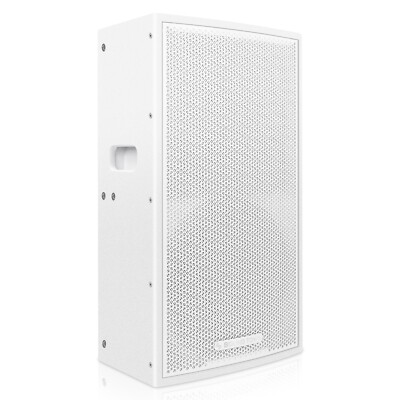 OPEN BOX: Sound Town 12'' Powered 600W PA Speaker Onboard DSP (CARME-112WPW-R)