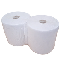 2X Putzrollen 2X250 Meter Putztuch Papier Rolle Weiss Putzpapier Werkstatt