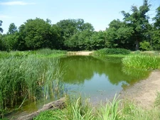 Photo A2 The fishpond on Barn Hill Kenton/TQ1788 Barn Hill is part of F c2015