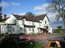PHOTO  DOG IN THE LANE UPPER ASTLEY 2007