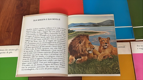 I MIEI PRIMI ANIMALI SERIE COMPLETA 8 LIBRICINI ILLUSTR.X BAMBINI-PICCOLI 1978 - Afbeelding 9 van 10