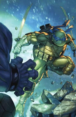 IDW Publishing, Teenage Mutant Ninja Turtles, Vol. 6 #3W - Ryan Kincaid exclusiv