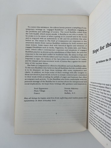 The Path Of Compassion: Contemporary Writings On Engaged Buddhism| TDD - Picture 6 of 12