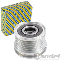 SNR Generatorfreilauf Lichtmaschine Passend FüR Audi A1 A3 A4 A5 A6 Q5 TT Seat