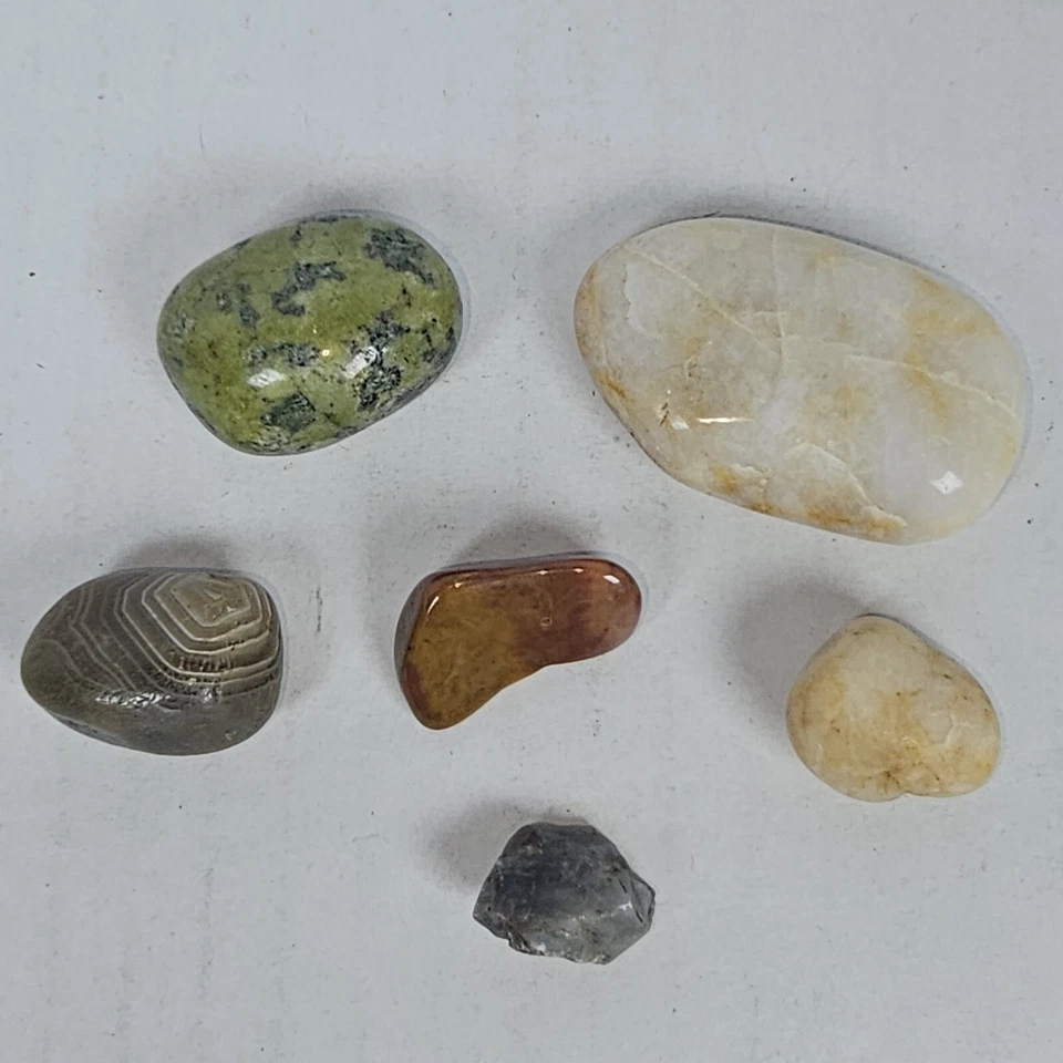 9 Seashells & Polished Stones - Assorted Decorative Aquarium Conch Cypraea - Image 3 of 4