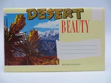 Vintage Souvenir Postcard Booklet - Desert Beauty - Unused