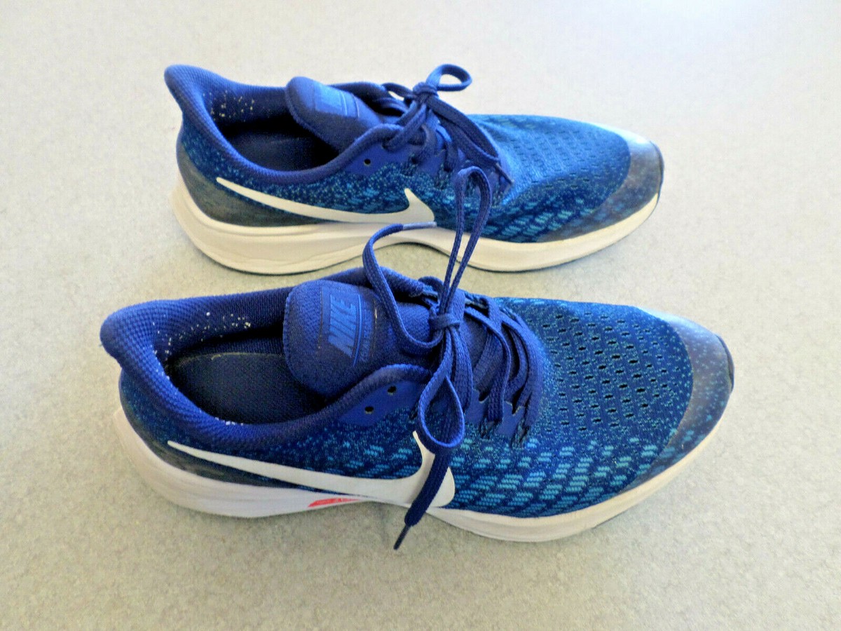 nike pegasus 35 mens blue