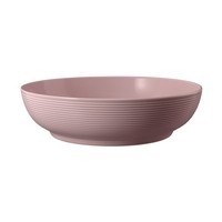 Seltmann Weiden Beat Altrosa Foodbowl Schale 25 Cm