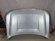 Local Pickup Only Hood Fits 09-14 Ford F150 Pickup 2076959 Local Pickup Only Hood Fits 09-14 Ford F150 Pickup 2076959