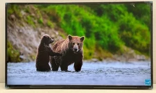 Sony 43" Professional Digital Signage Monitor 4K HDR Android TV OS LCD FW43BZ30L