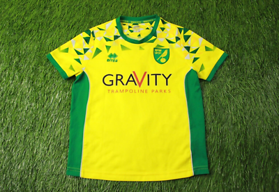 NORWICH CITY CALLUM 2018/2019 FOOTBALL SHIRT JERSEY HOME ERREA